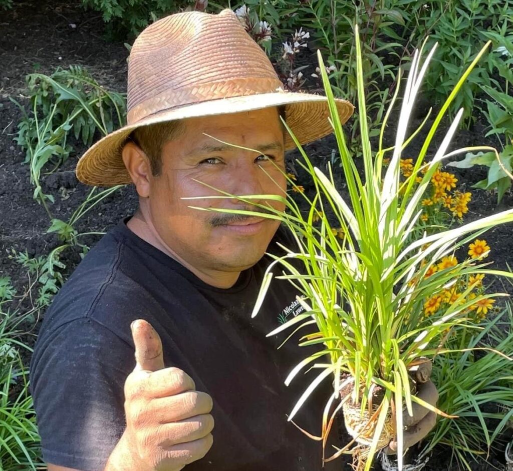 An image of a man wearing a black t-shirt and a brown hat holding a plant