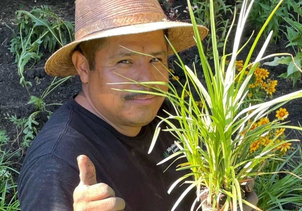 An image of a man wearing a black t-shirt and a brown hat holding a plant
